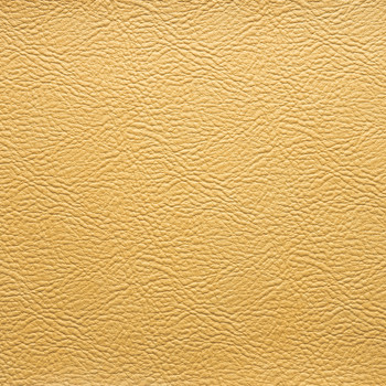 Light Biege Leatherette Ranchero Range