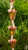 Stanwood Rain Chain - Copper Rain Chain Tulip Flower Blossom 8-ft