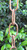 Stanwood Rain Chain - Copper Rain Chain Single Loop 8-ft