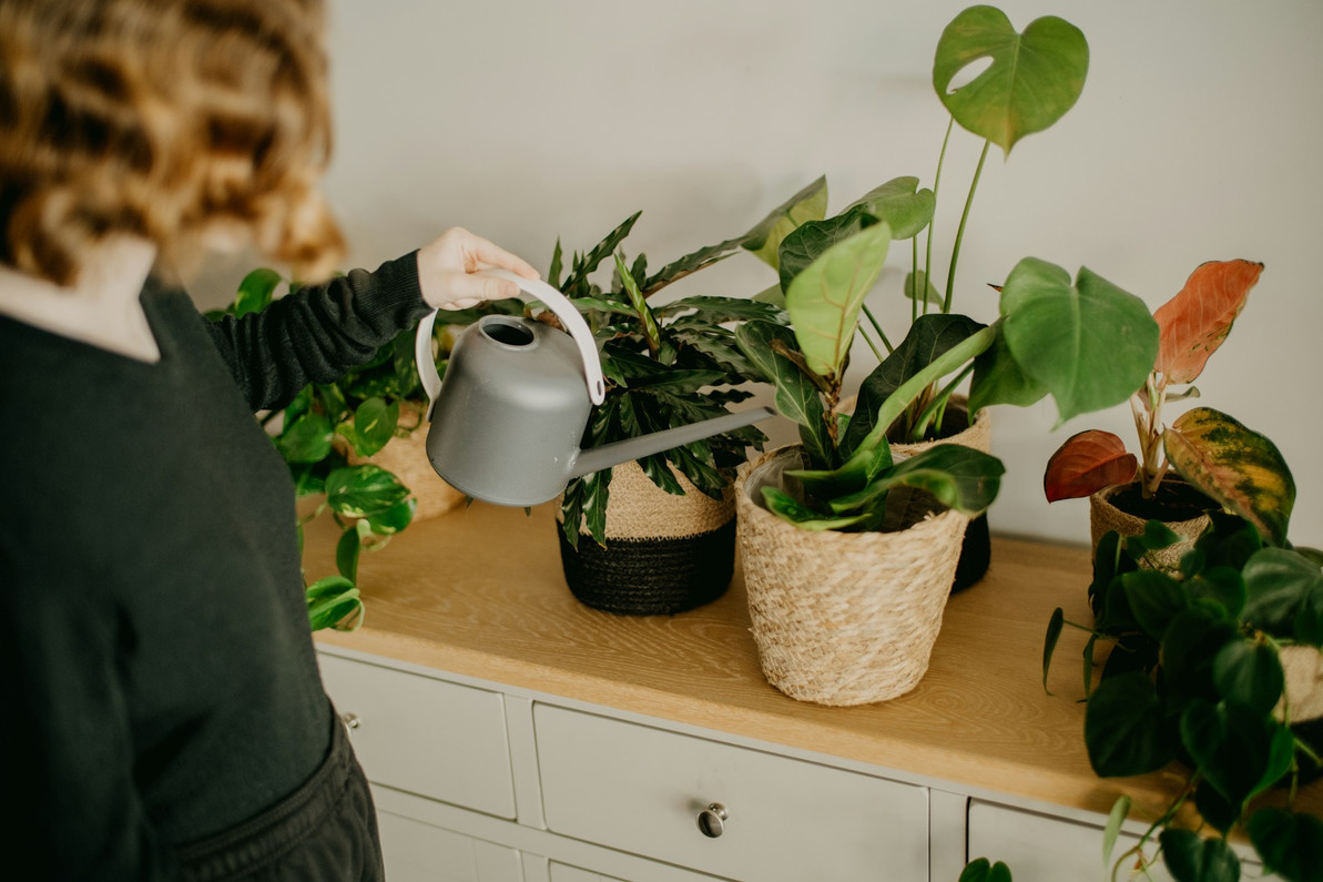 Media That Helps Water Retention When Spring Heats Up