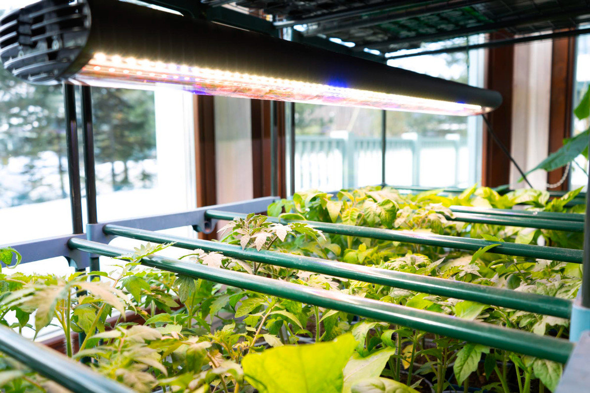 Best Practices for Maintaining High Intensity Discharge Lights