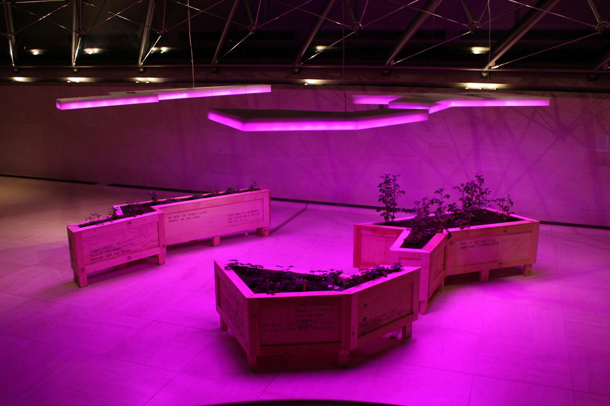 Troubleshooting Dim or Flickering LED Grow Lights