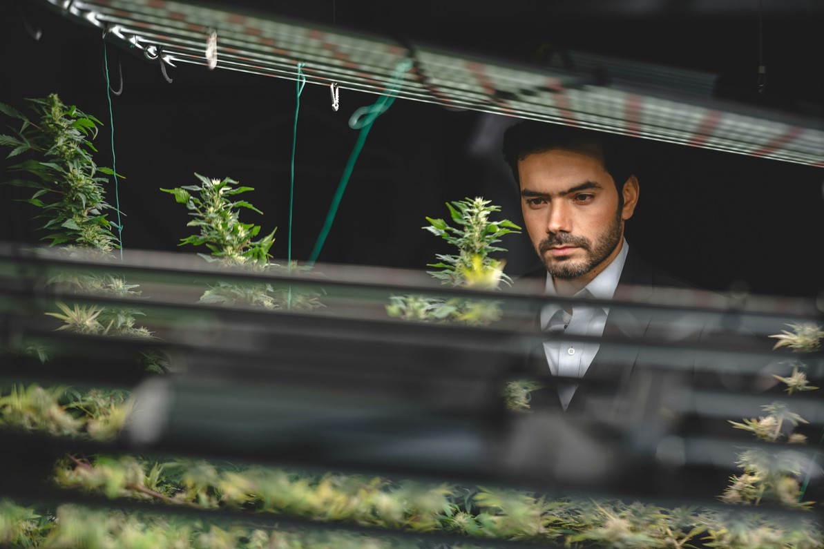 Container Options for Setting Up a Small-Scale Hydroponic System