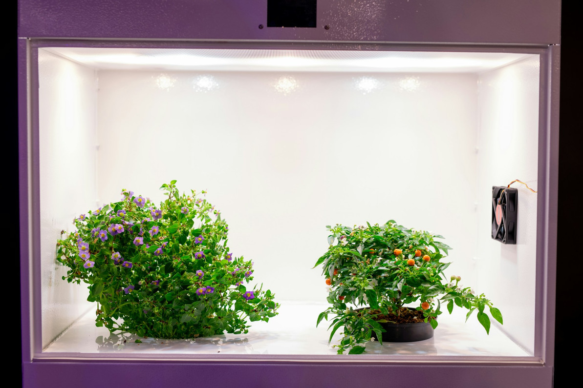 Lighting Accessories for Extra Sunlight in Cloudy Spring