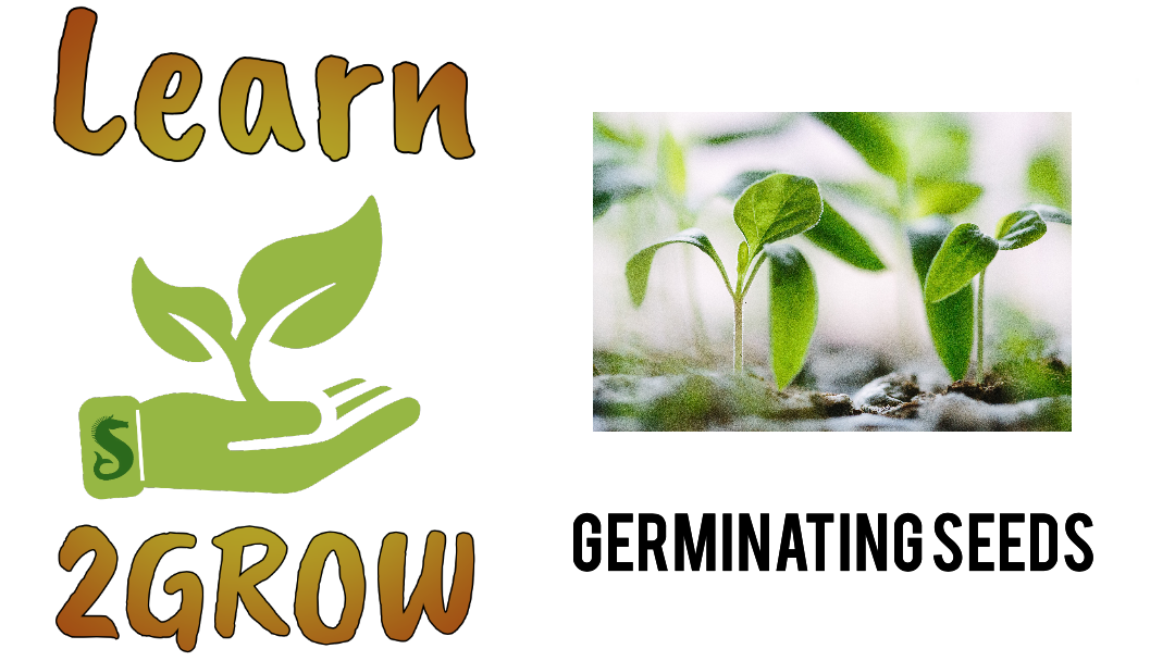 hydroponics.png?t\u003d1571352497