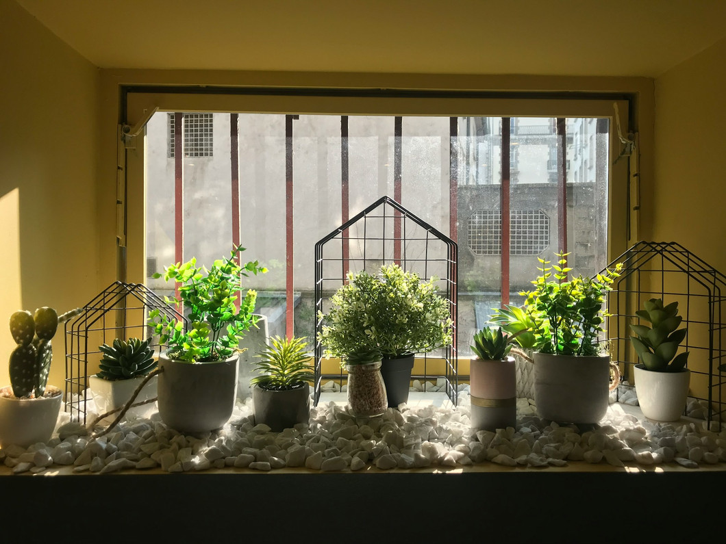 Common Nutrient Problems and How to Fix Them