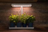 Tips for Resolving Inefficiencies in High Intensity Discharge Lamps