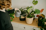 Media That Helps Water Retention When Spring Heats Up