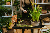 Spring Propagation Steps for Busy Indoor Gardeners