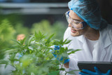 Tools of the Trade: Special Equipment for Hydroponic Growers