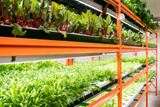 Climate Control Tips to Beat Dry Winter Air in Grow Rooms