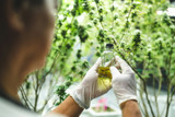 Preventing and Dealing with Pest Problems in Hydroponics