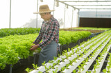 The Pros and Cons of Different Hydroponic Containers