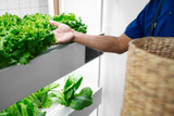 Selecting Advanced Hydroponic Supplies for Experienced Growers