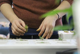 Hydroponic Supplies to Prep Your Spring Seedlings Early