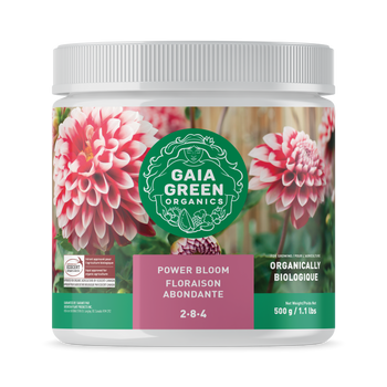 Gaia Green Power Bloom 500g