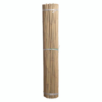 8' Bamboo 50 pack 