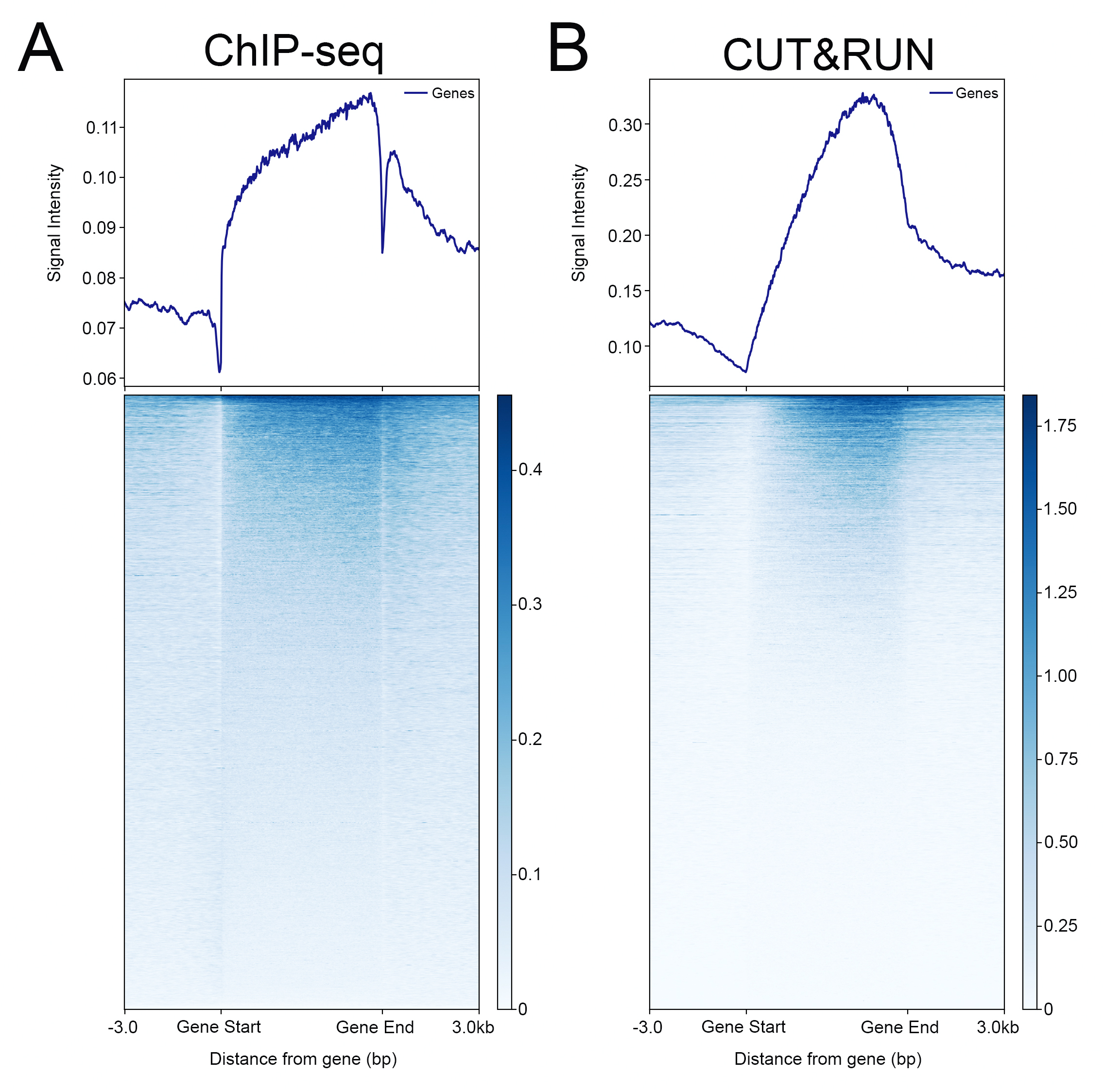 13-0031 Genome Wide Analysis