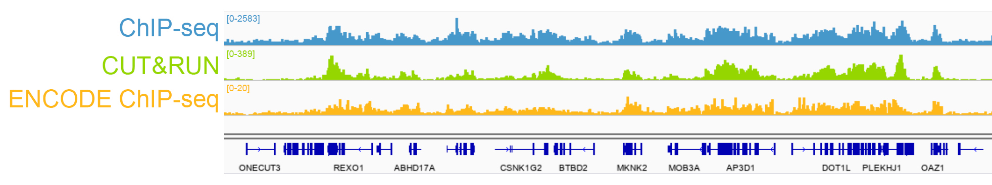 13-0031 Representative Sequencing Tracks