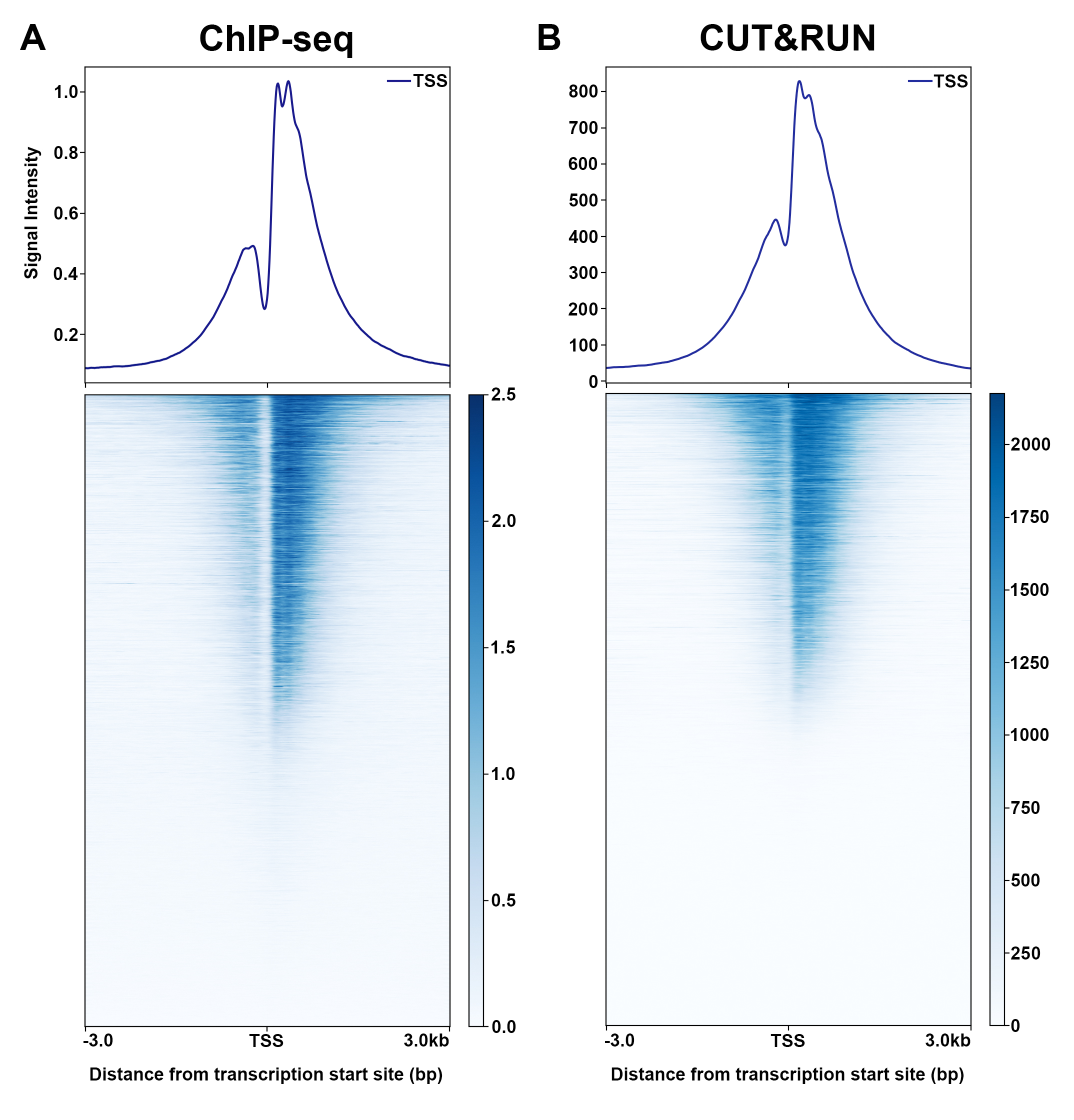 13-0041 Genome Wide Analysis