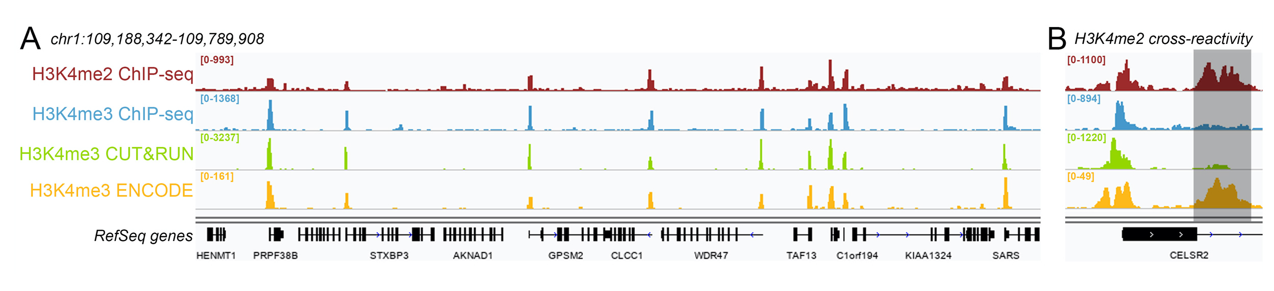 13-0041 Representative Sequencing Tracks