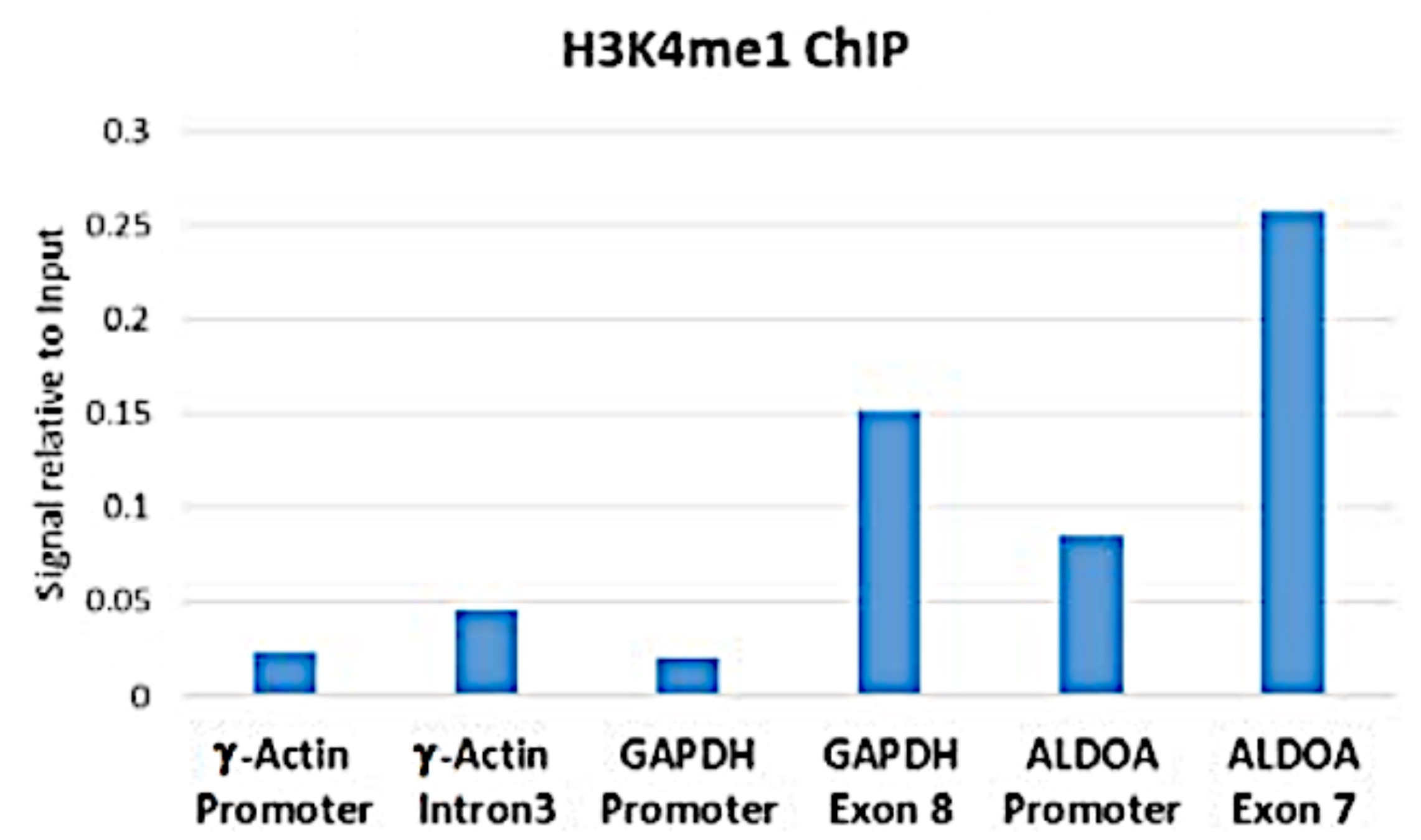 13-0026 ChIP