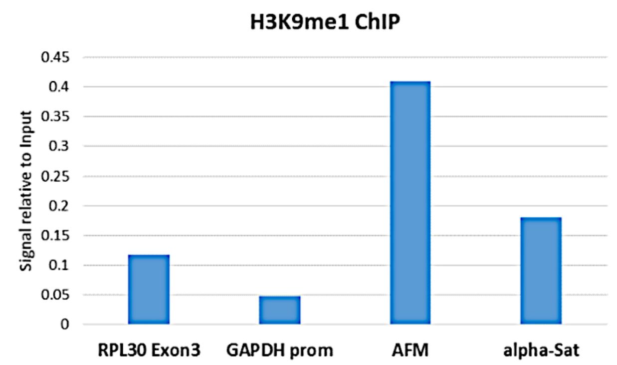13-0029 ChIP