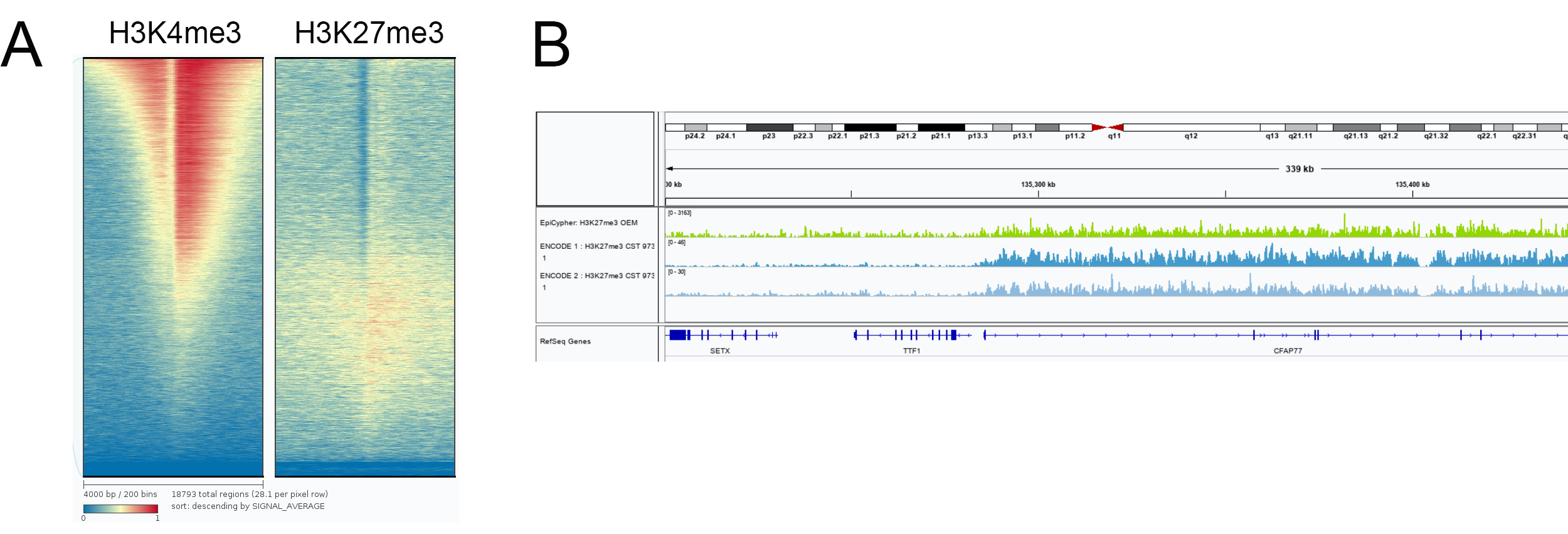 13-0030 ChIP-seq Data