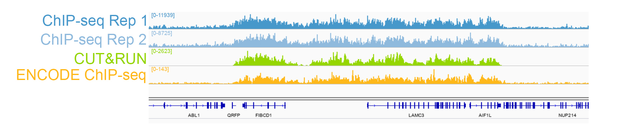 13-0030 Sequencing Tracks