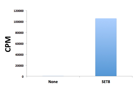 16-0011 HMT Data