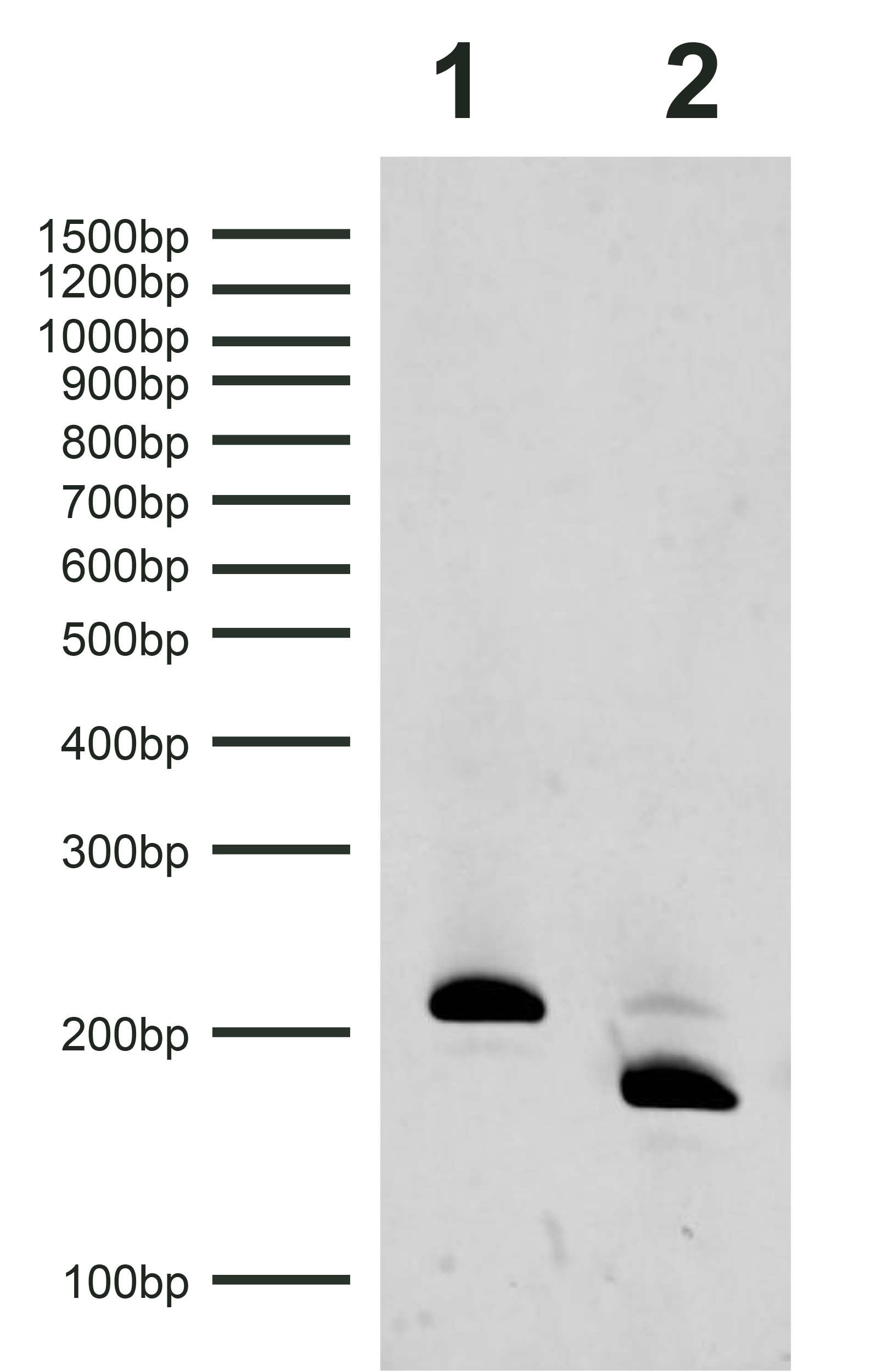 18-4112 Gel Data