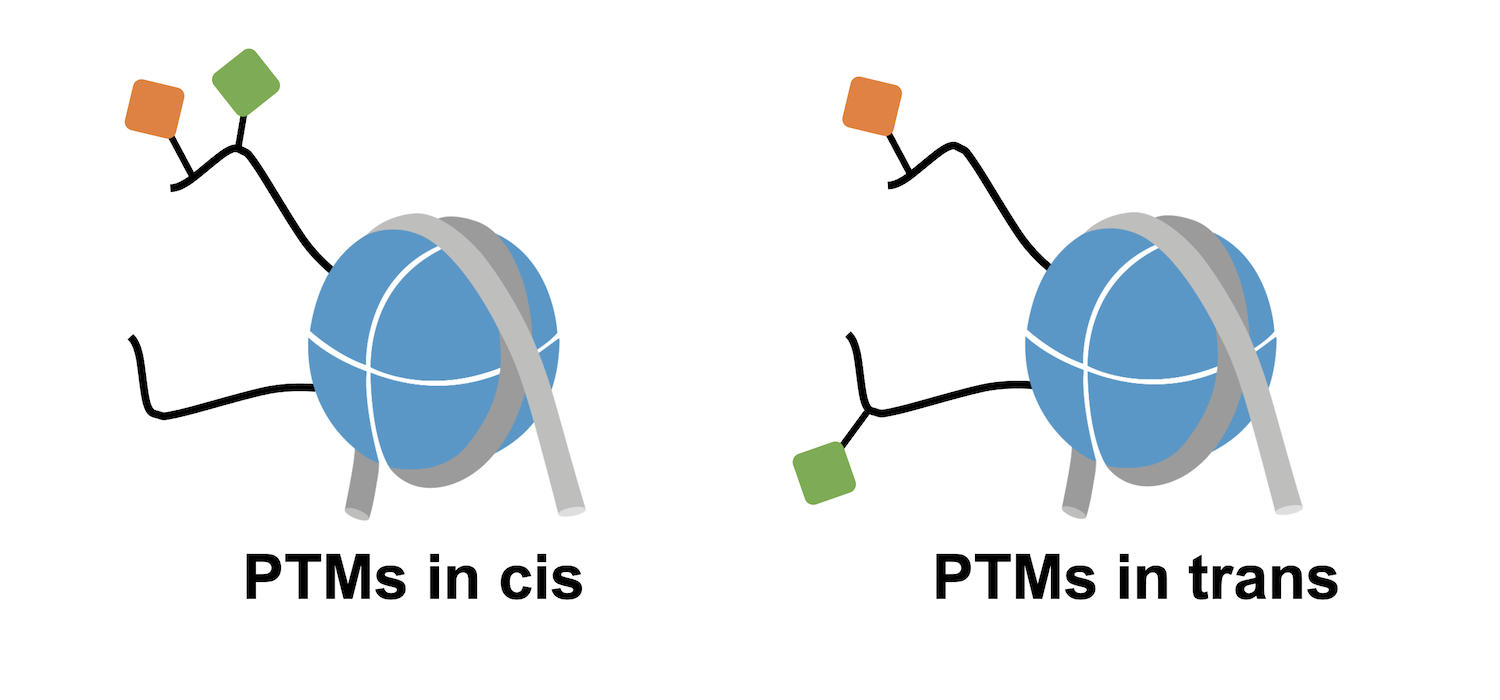 improved-controls-blog-figure-1