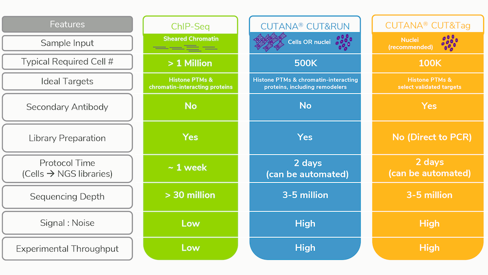 Comparison of ChIP-seq, CUT&RUN, and CUT&Tag