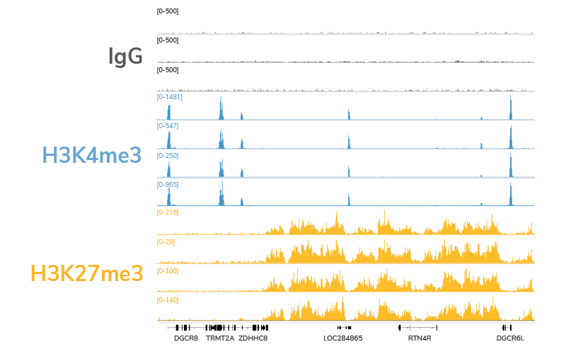 Data from the EpiCypher CUTANA CUT&RUN Kit are highly reproducible