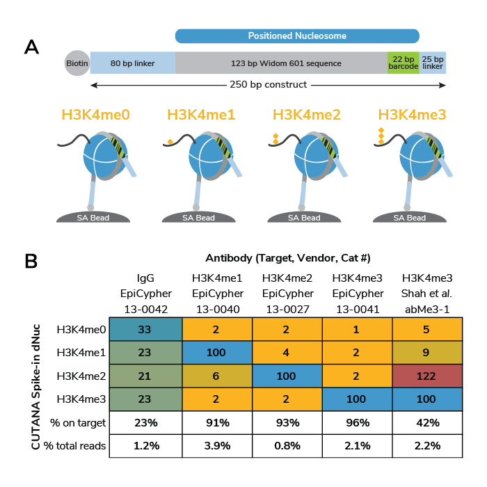 EpiCypher dNuc spike-ins provide a quantitative success metric for CUT&RUN assays