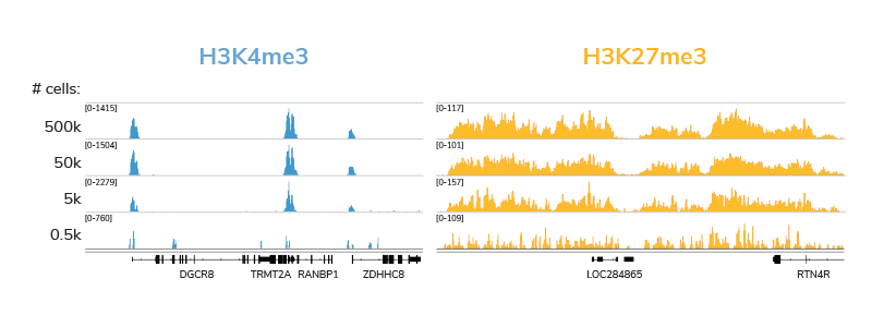 The CUTANA CUT&RUN protocol has been optimized for low cell inputs