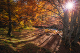 Fall Vibes - Six Items you will Need for your Home this Fall