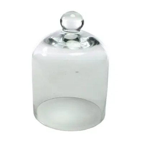 Mini Glass Cloche