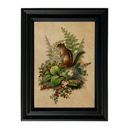 Framed Vintage Chipmunk Botanical Print