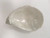 Oyster Serving Bowl