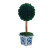 Boxwood Ball Topiary in Blue & White Pot - Large