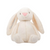 Embroidered Stuffed Bunny