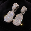 VVS1 Moissanite Cluster Drop Earrings - Silver
