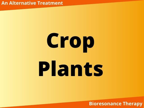 Bioresonance quantum agriculture service for crop and plants