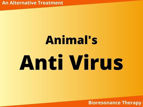 Bioresonance therapy for animal's anti virus healing