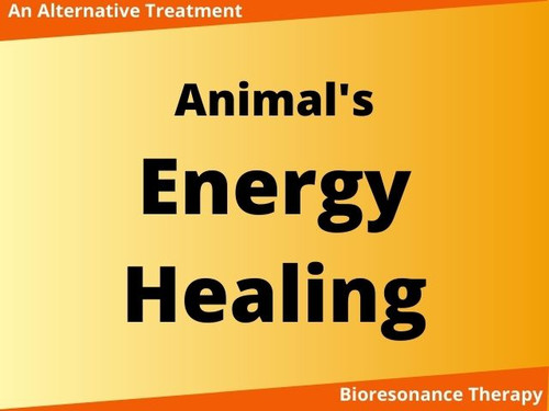 Bioresonance energy healing for animals
