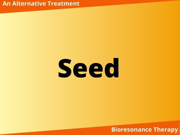 Bioresonance treatment for seeds in agriculture