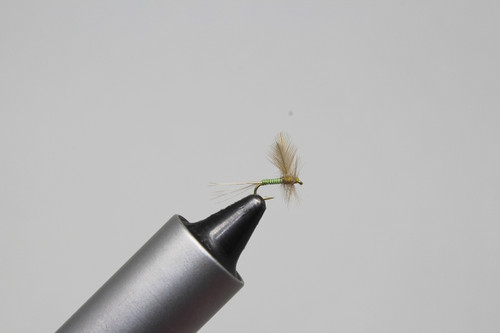 OLIVE DUN QUILL, A.K.'s