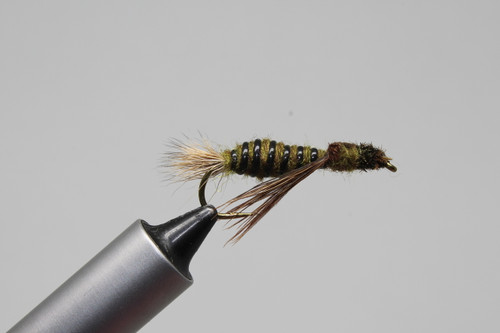 Butler's DRAGON - Micro