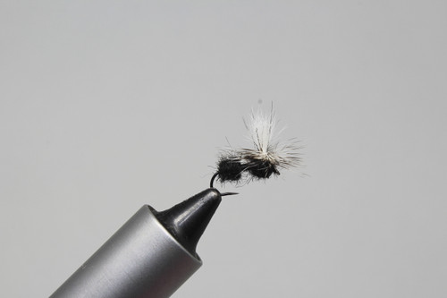 PARACHUTE ANT Schroeder's